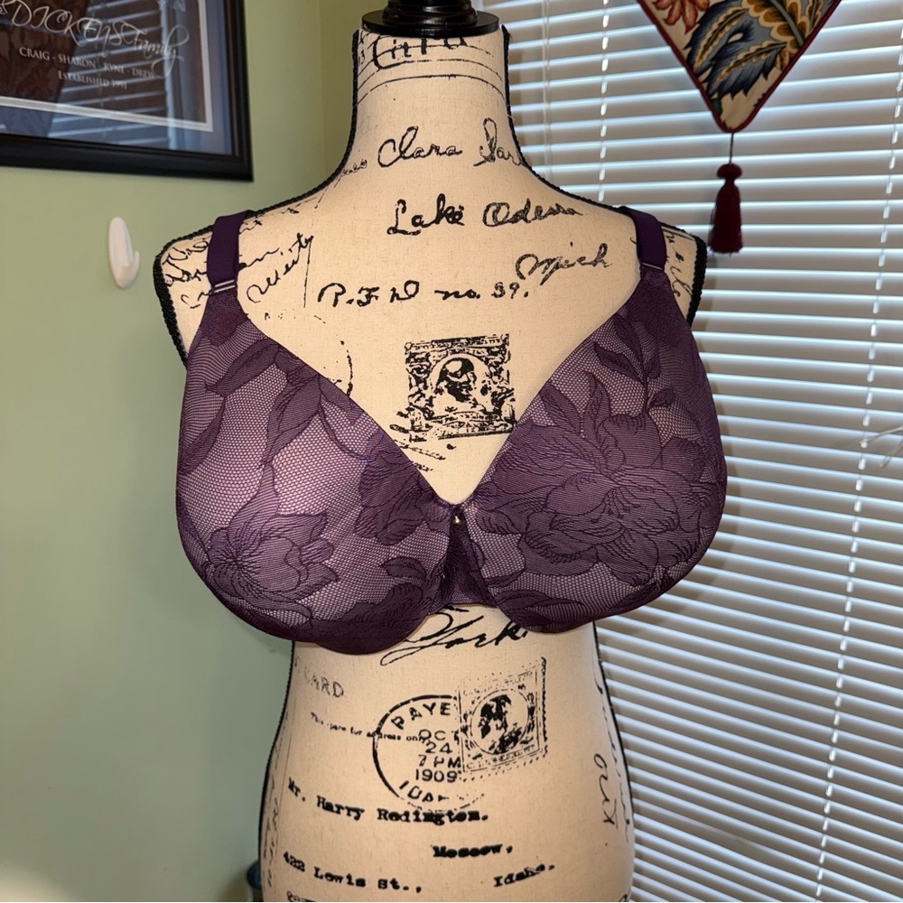Cacique Elegant Plum Lace Bra, 40F